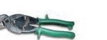 CESOIA PROFESSIONALE VERDE